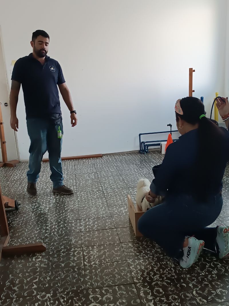 Entrenadora trabajando con un perro durante una sesión en el centro