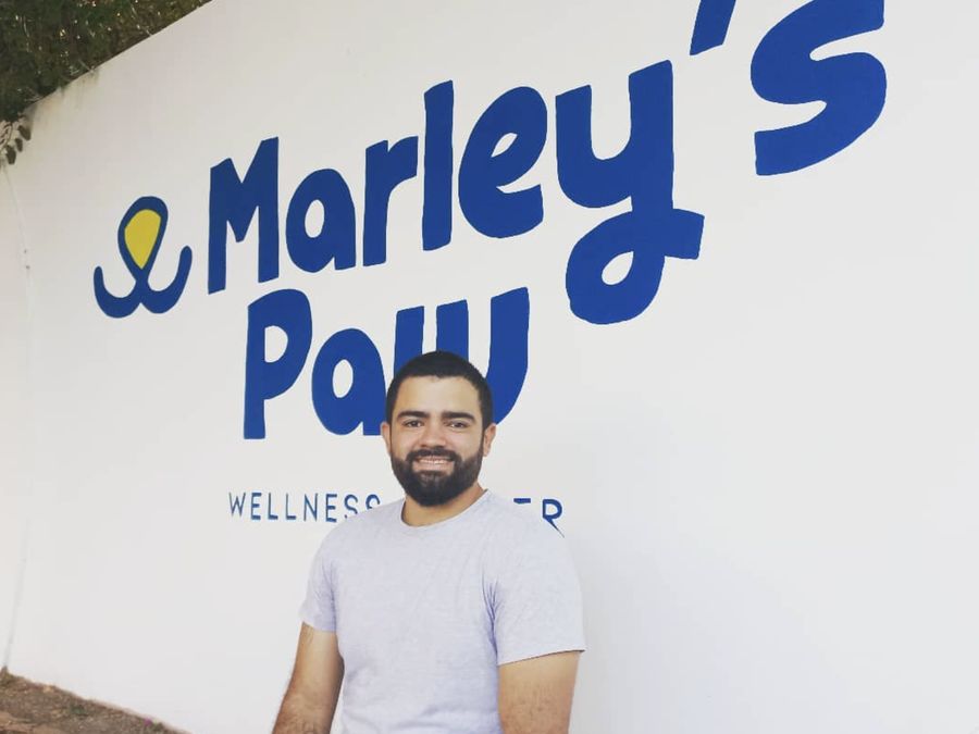 Mural con el logo de Marley's Paw en la entrada del centro