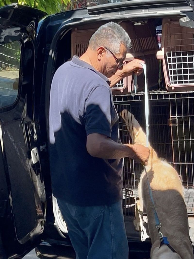 Cuidador subiendo a un perro al vehículo de transporte de Marley's Paw
